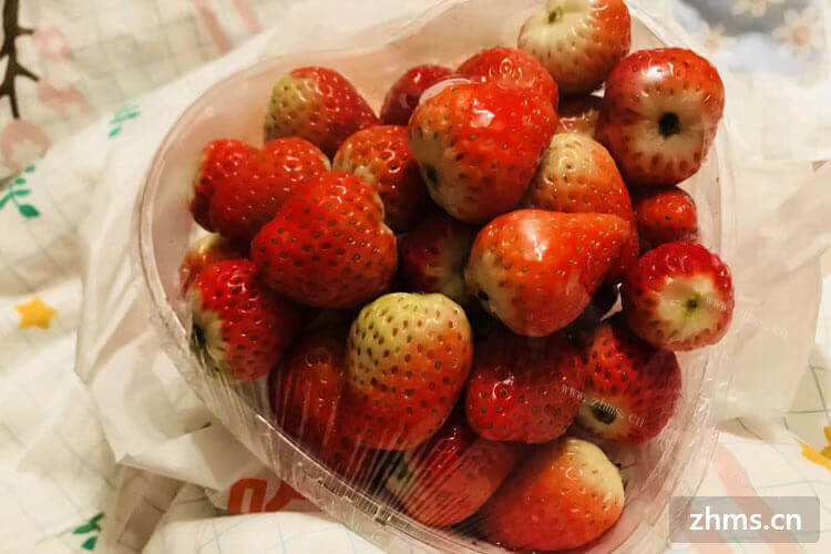 西安草莓采摘是几月份呢？采摘草莓一般多少钱一斤呢？