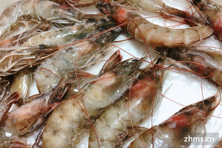 基围虾和竹节虾的区别是什么