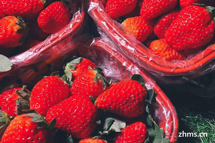 日本草莓，美国草莓和中国草莓，请问怎样选草莓品种
