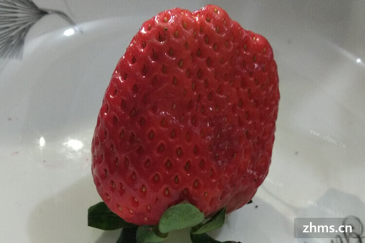 想去草莓园采摘新鲜的草莓，上海草莓采摘几月份？