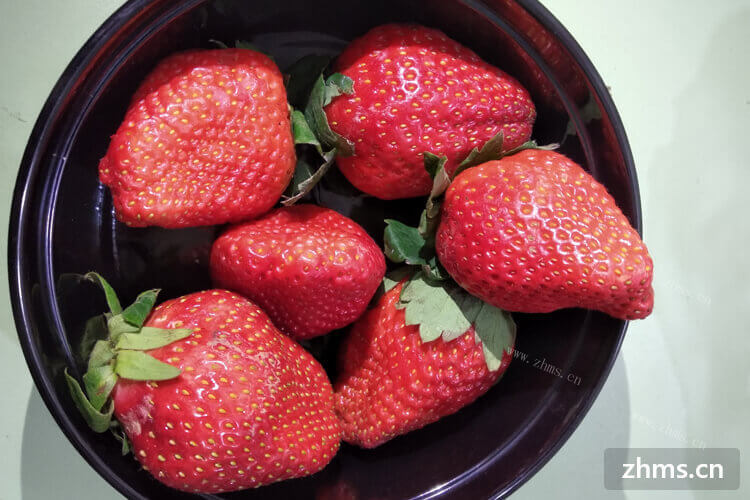 在北方地区，4月种草莓几月收获啊？