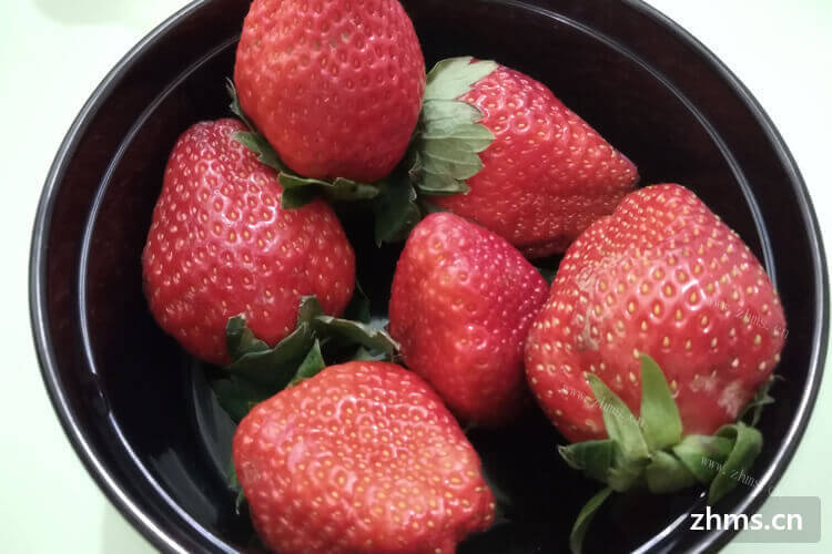 牛奶草莓为什么会叫牛奶草莓呢