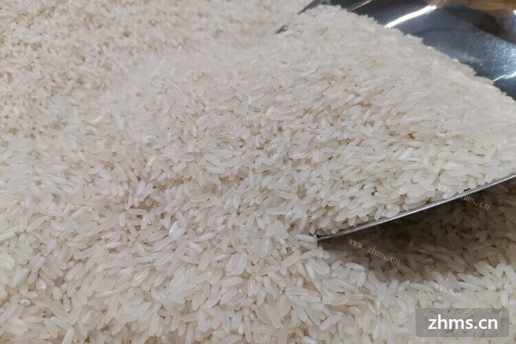 买了一袋大米回家，大米泡久了会怎样？