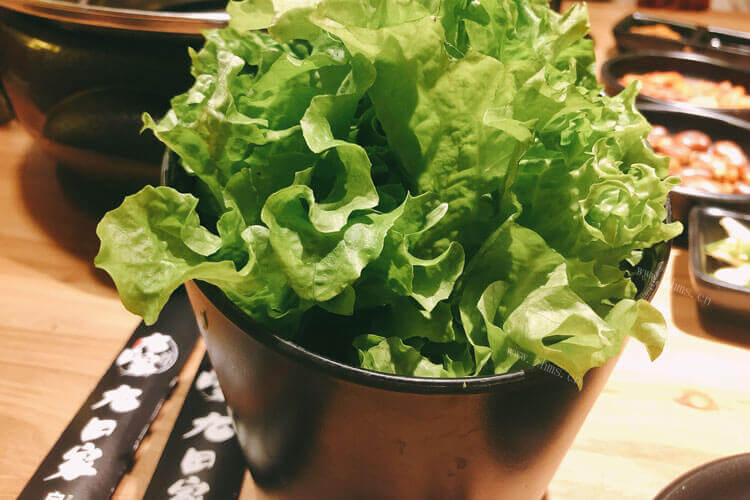 生菜吃起来有点苦，生菜发苦能吃吗？
