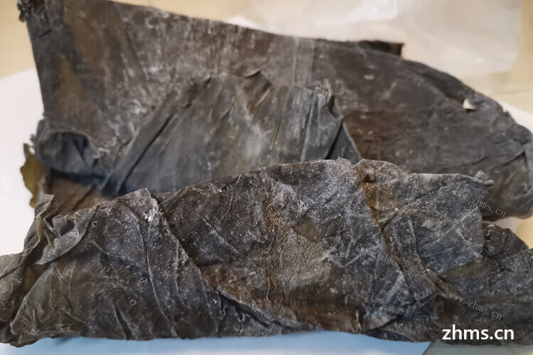 海带泡开后忘记放冰箱了，海带泡开后能保存多少？