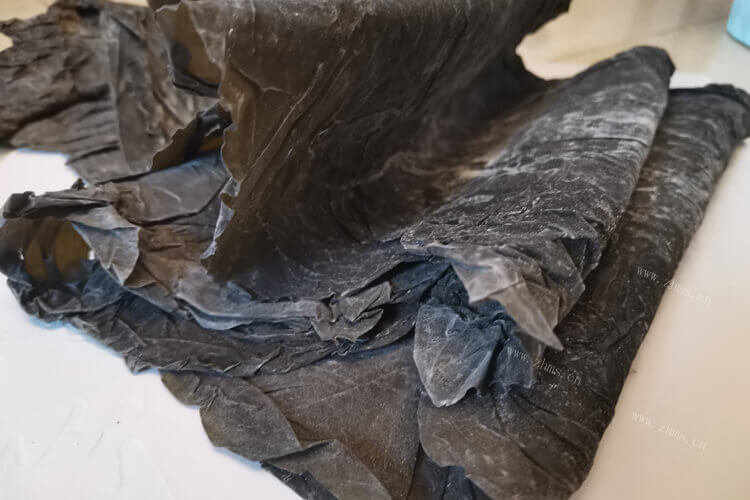 总是分不清海藻和海带，海藻与海带的区别有哪些？
