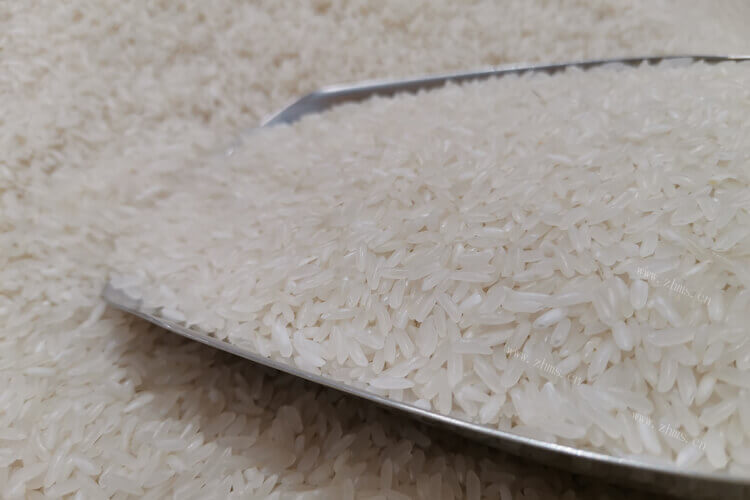 不知道怎么煮干饭，煮干饭用籼米还是粳米？