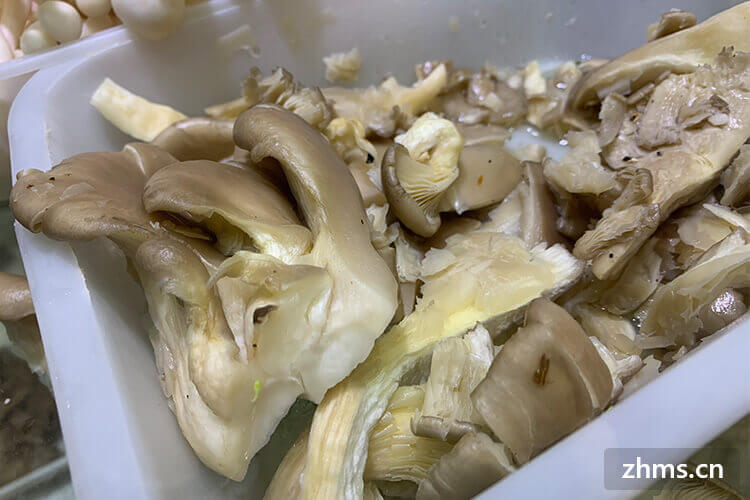 平菇要煮多久才熟 平菇要煮多久才熟