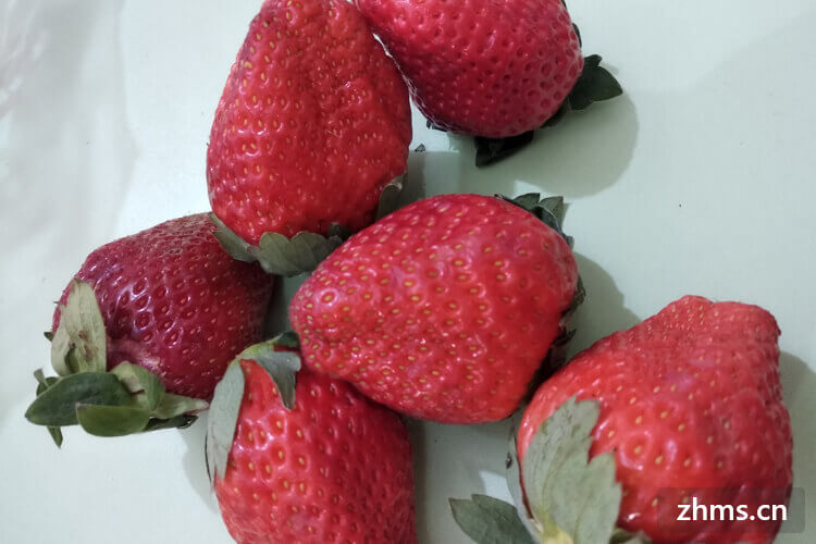 去草莓园怎么选草莓