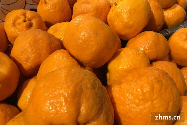 橘子皮可以去味吗