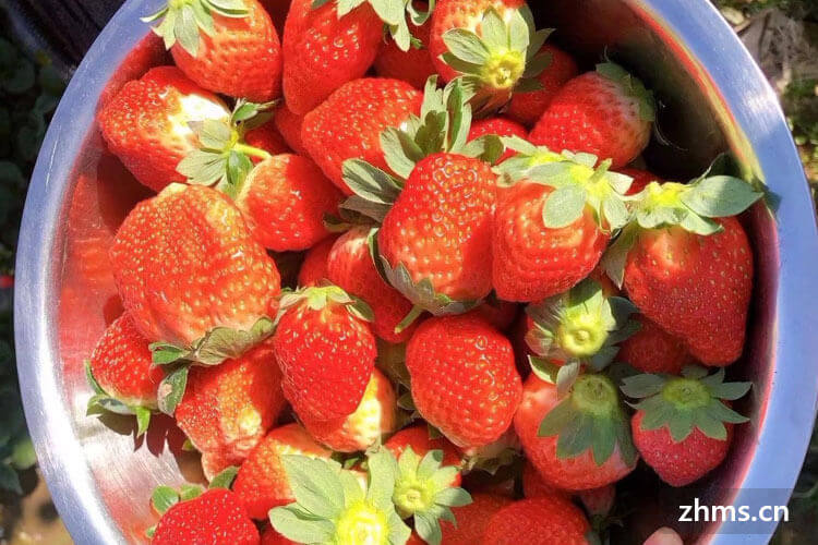 怎么洗草莓洗的干净彻底？如何挑选新鲜优质草莓？