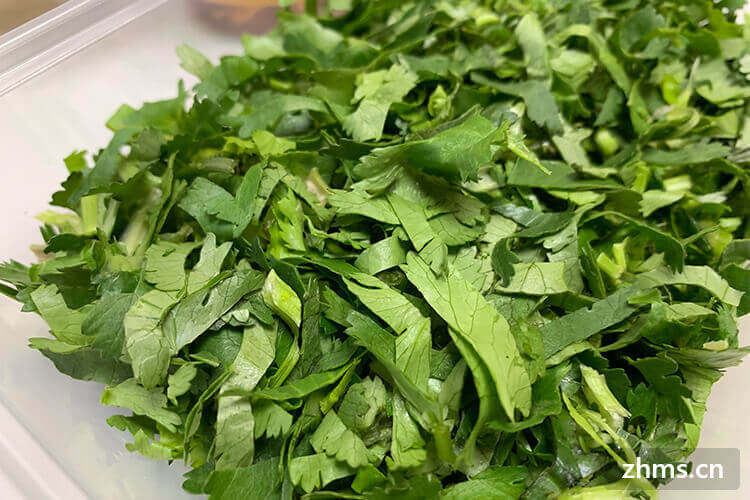 芫荽和香菜的区别 芫荽和香菜的区别