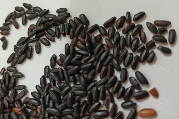 做饭的时候，我们要怎样区分紫米和黑米？
