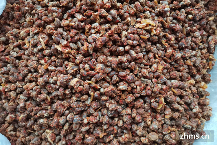 豆豉放10年还能吃吗 豆豉放10年还能吃吗