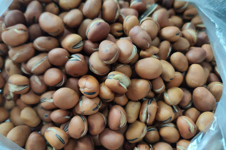 买了一些蚕豆，炒蚕豆怎么做好吃呢？