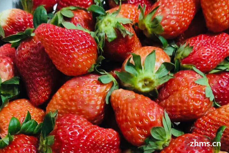我明天去桂林大圩玩，请问桂林大圩草莓几月可摘？