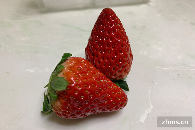 草莓长毛