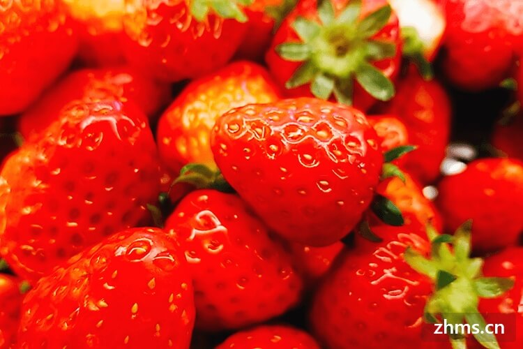 什么时候可以摘草莓？草莓是什么季节的水果？