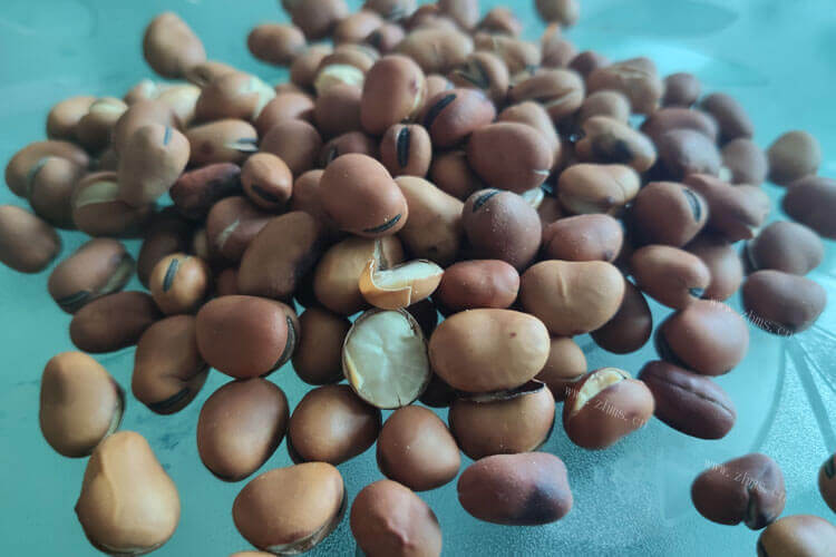家里面有点蚕豆，带壳蚕豆怎么保存呢？