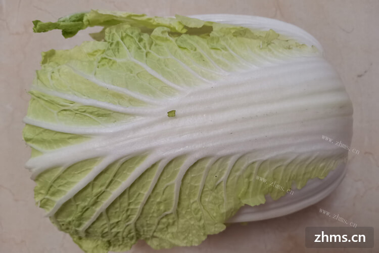 水白菜和大白菜很像，那么大家知道水白菜怎么吃嘛？