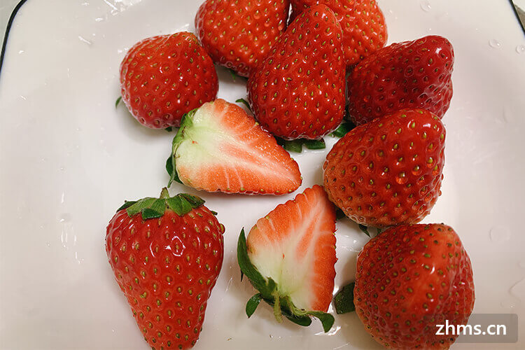 草莓是什么季节的水果