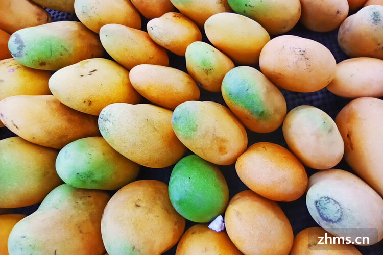 鹰嘴芒果一股煤油味是为什么？我国有哪些品种的芒果？