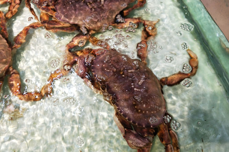 螃蟹的产地有很多，日本的螃蟹哪里好吃呢？