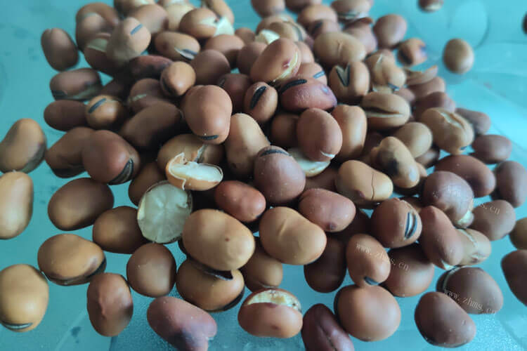 家里面有点蚕豆，带壳蚕豆怎么保存呢？