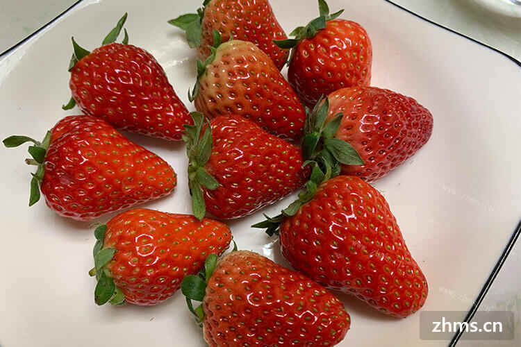 我特别想去草莓采摘园采摘草莓，请问北京草莓采摘园几月份采摘合适呢？