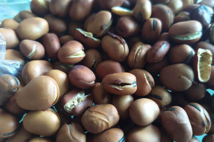 家里还有一些蚕豆，想做蚕豆牙吃，蚕豆泡水里几天发芽？