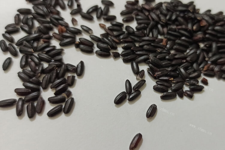 做饭的时候，我们要怎样区分紫米和黑米？