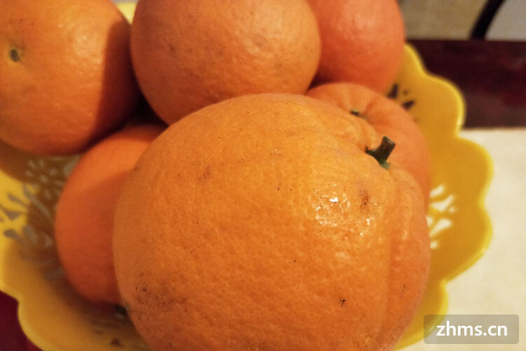 橙子种类