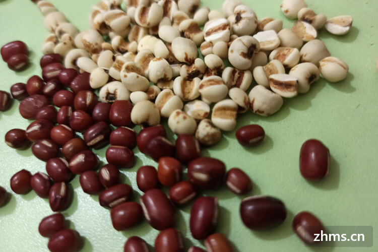 豆类发芽了还能吃吗？如何挑选黄豆芽？