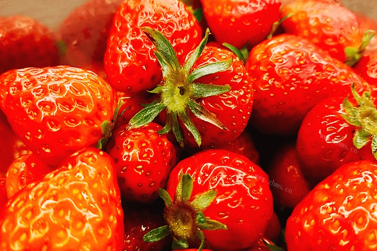 有丹东草莓和奶油草莓，丹东草莓和奶油草莓的区别是什么？