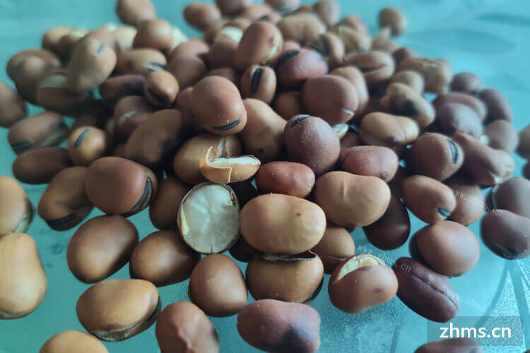 今天在菜园里摘了很多蚕豆，想问问新鲜蚕豆的营养价值?