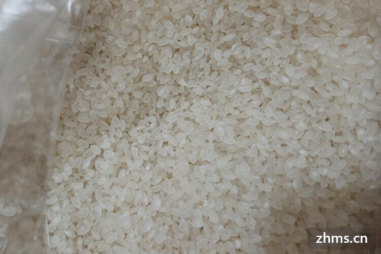 口感好的大米品种