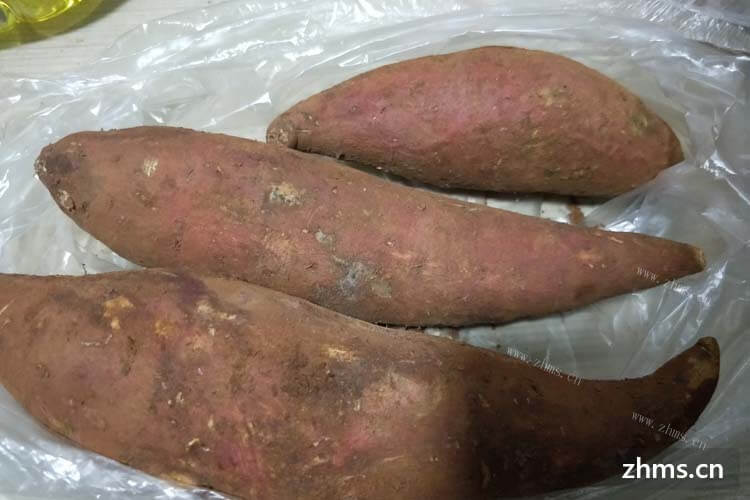 红薯什么时候传入中国的