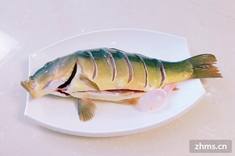 想做一次蒸鱼吃，蒸鱼蒸多久最好吃？