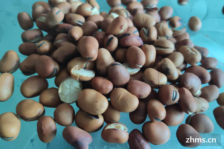 蚕豆不能和什么—起吃？蚕豆最适合和什么一起吃？