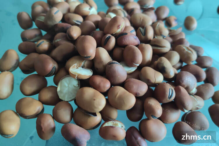 真的很喜欢吃豆子，想问一下蚕豆怎么做好吃？