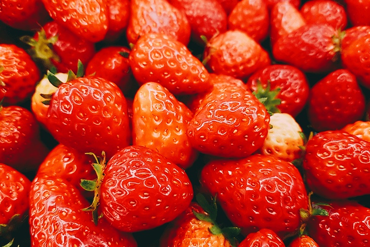 过年想买一些上档次的水果送礼，草莓榴莲过年期间好买吗？