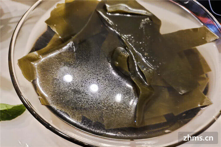 鲜海带的保存方法都有哪些?学会这几种方法可以保存一年 鲜海带的保存方法都有哪些?学会这几种方法可以保存一年