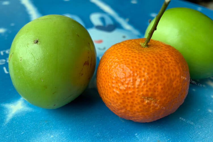 9月份正是瓜果成熟的季节，9月吃什么水果应季？