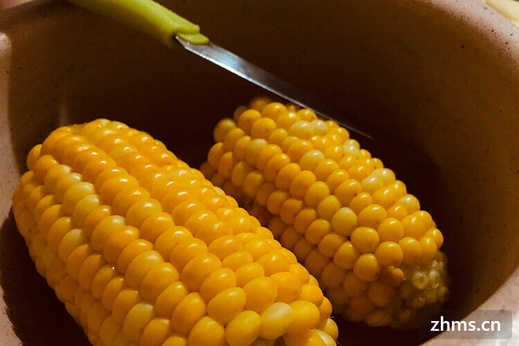 鲜玉米怎么保存