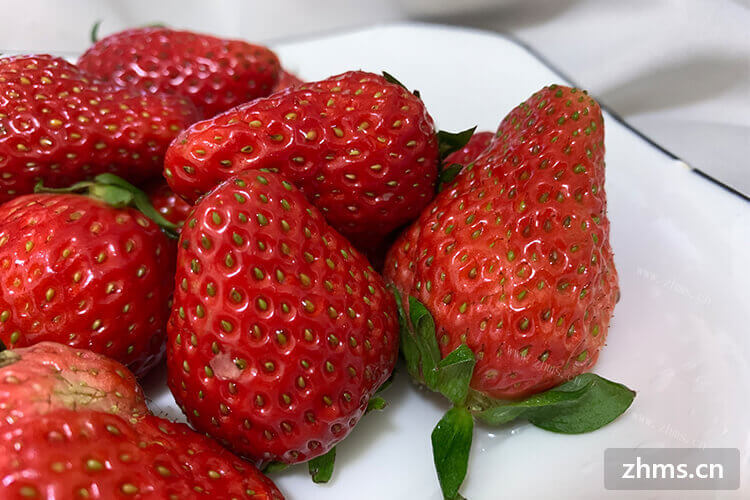 汉沽几月份摘草莓呢？摘草莓多少钱一斤呢？