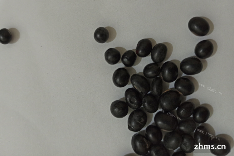感觉真黑豆和假黑豆都一样，怎么辨别假黑豆和真黑豆？