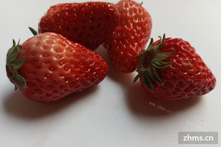 最近去了丹东，发现没有丹东草莓卖，丹东草莓一般几月份上市？