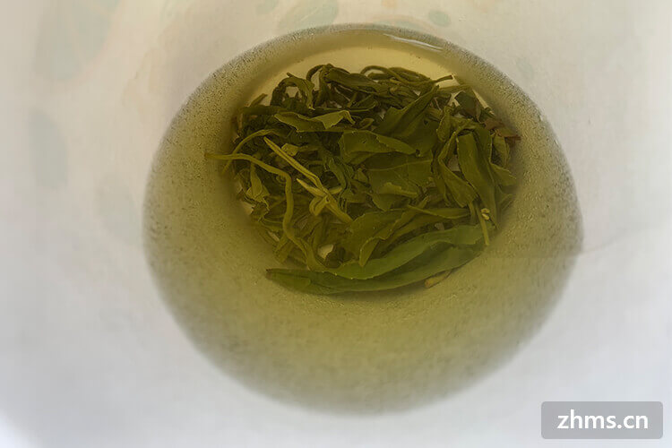 日照绿茶的工艺特色有哪些？日照绿茶的特点是什么呢？