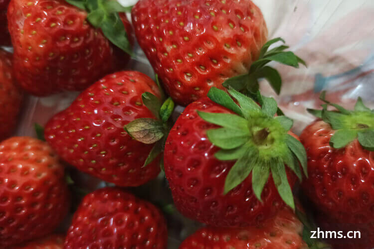 草莓采摘如何选呢？你知道吗？