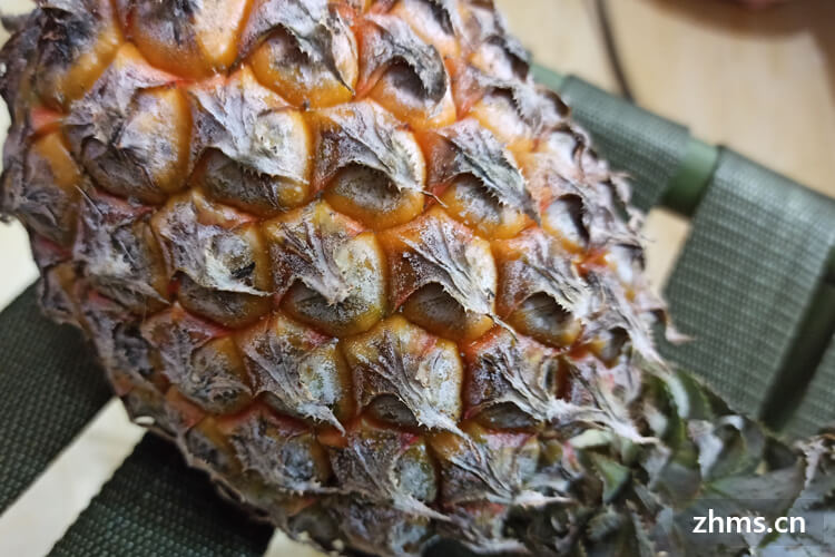 菠萝是什么时候成熟?怎么挑选菠萝? 菠萝是什么时候成熟?怎么挑选菠萝?